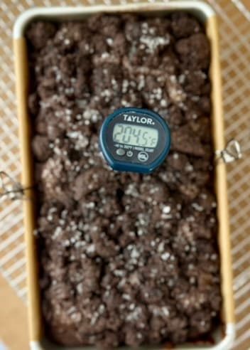 Thermometer displaying 204.5 degrees Fahrenheit in the loaf