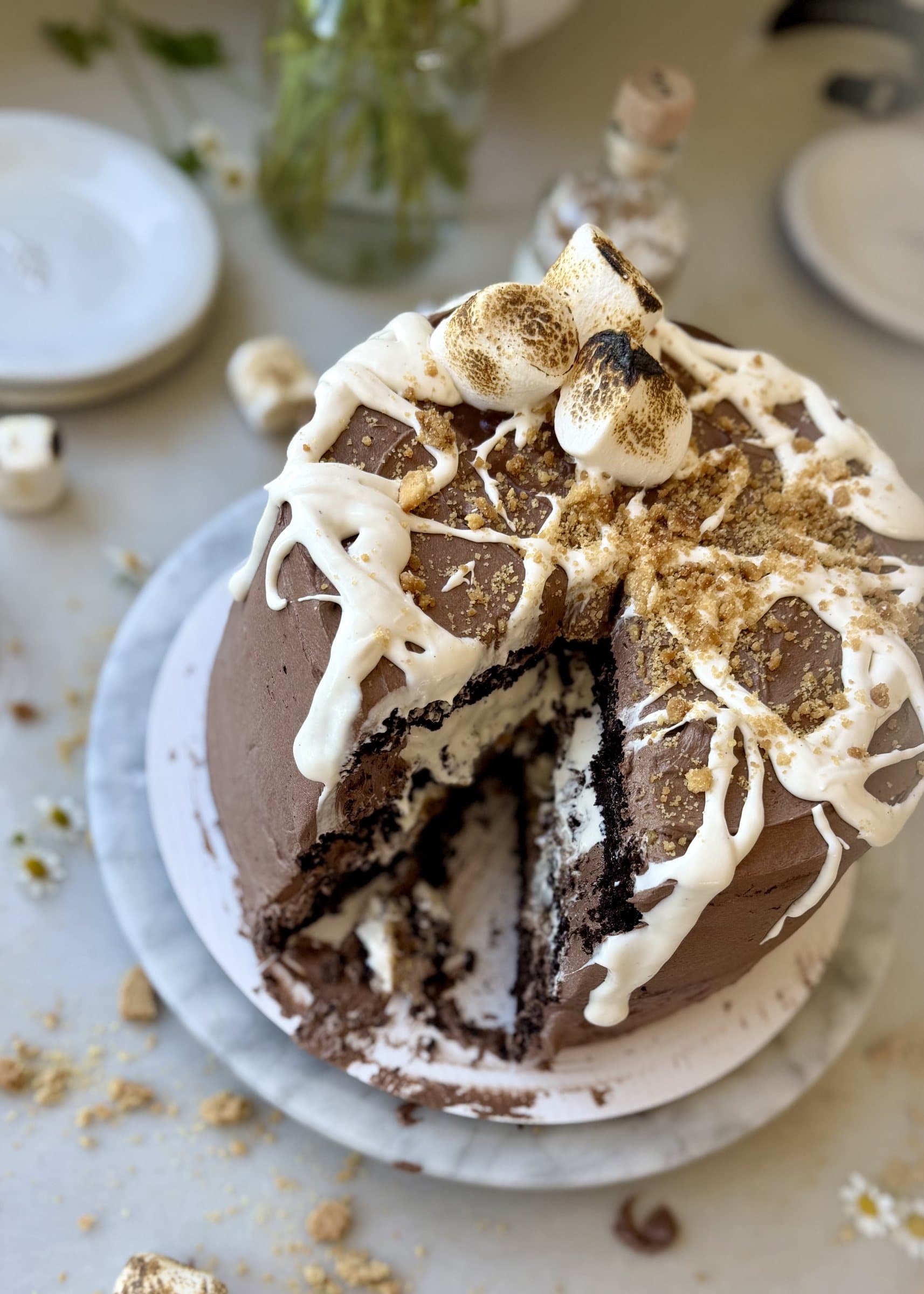 S’mores Lava Cake with Marshmallow Filling: close