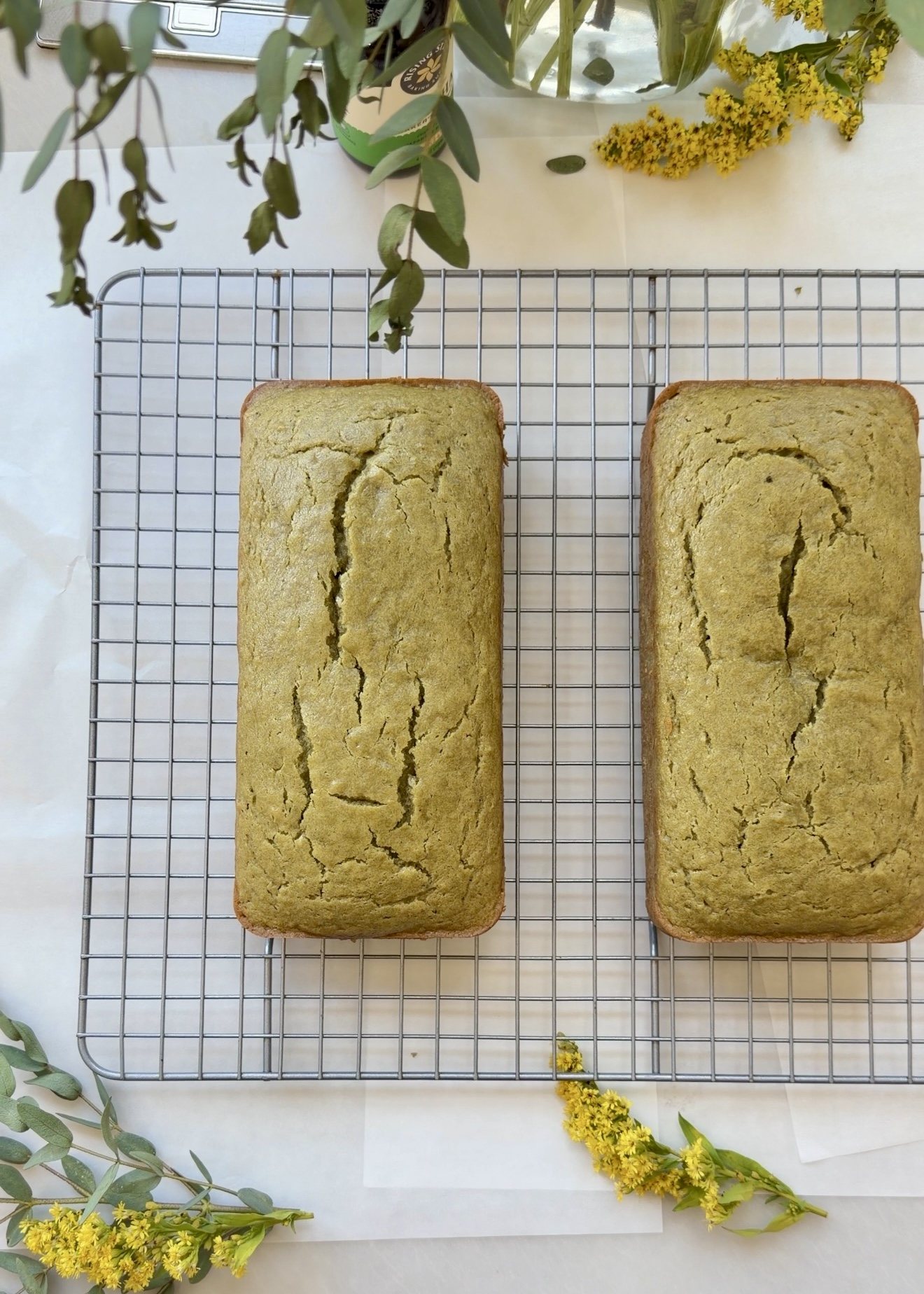 Matcha Donut Loaf: A0E0E2AA 958D 4F22 A873 D48EE4A722F7 1 201 a