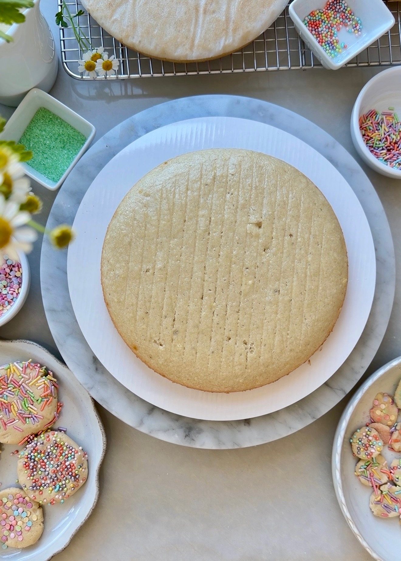 Sugar Cookie Lava Cake: 01 cake layer